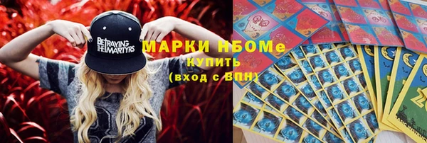 соль ск Кукмор